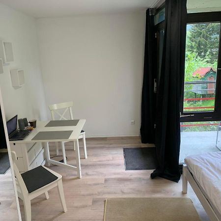 Kleines Einzimmer-Apartment 14 Bad Wildbad Esterno foto