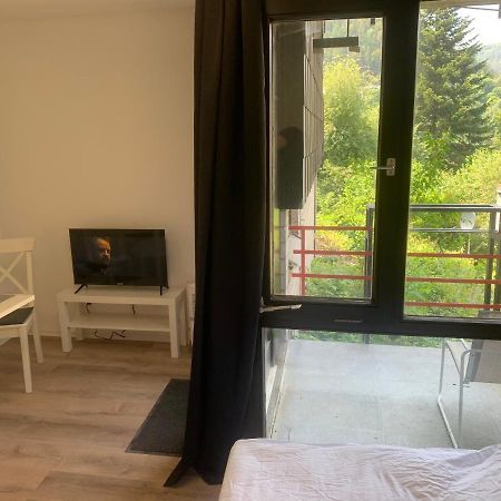 Kleines Einzimmer-Apartment 14 Bad Wildbad Esterno foto