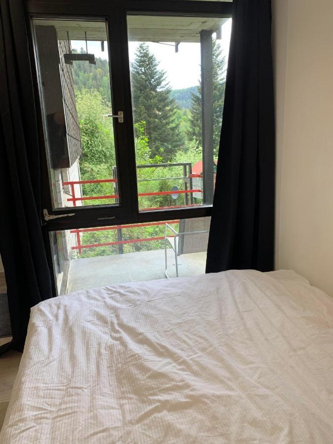 Kleines Einzimmer-Apartment 14 Bad Wildbad Esterno foto