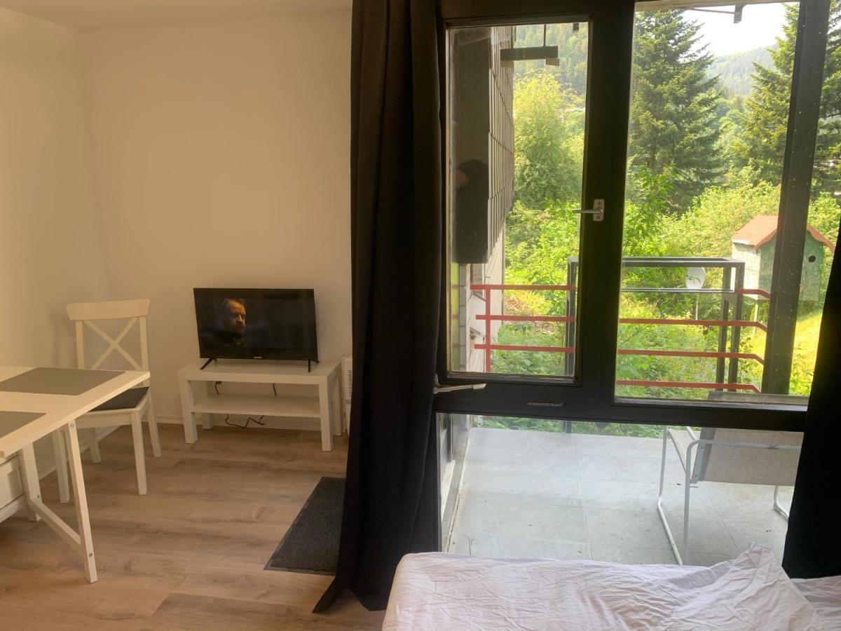 Kleines Einzimmer-Apartment 14 Bad Wildbad Esterno foto